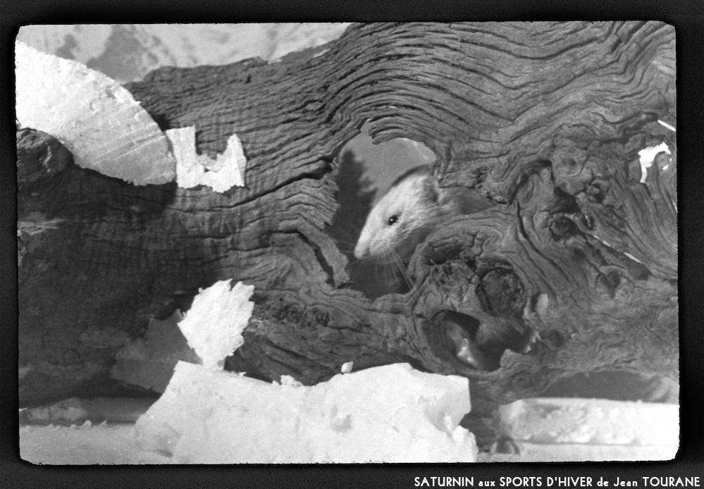 image: This is &lsquo;saturnin aux sports d&rsquo;hiver 6&rsquo;.