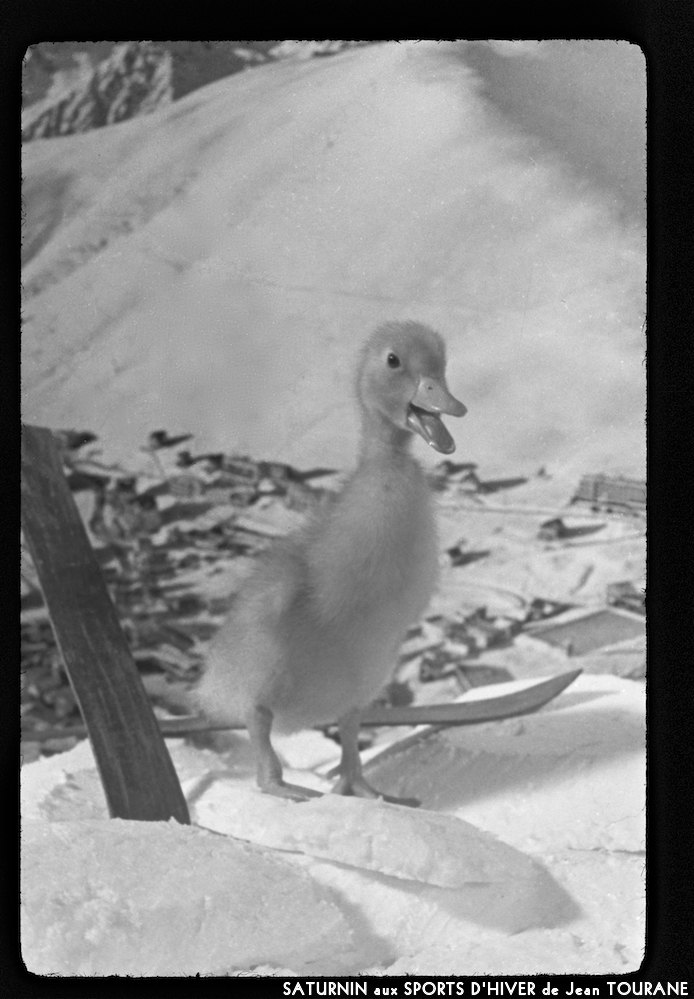 image: This is &lsquo;saturnin aux sports d&rsquo;hiver 7&rsquo;.