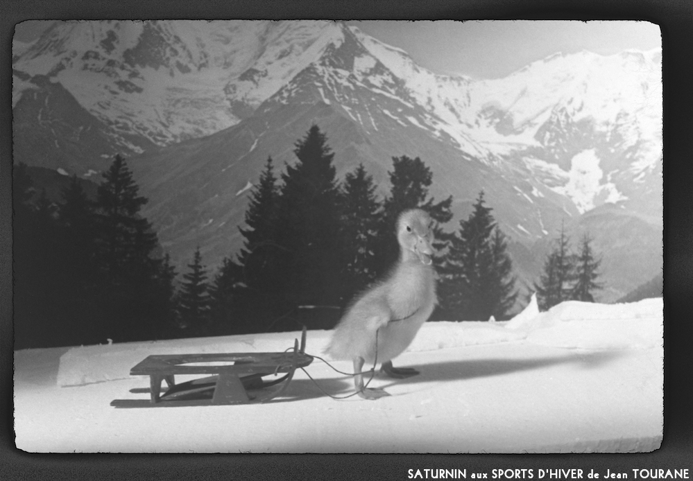 image: This is &lsquo;saturnin aux sports d&rsquo;hiver 8&rsquo;.