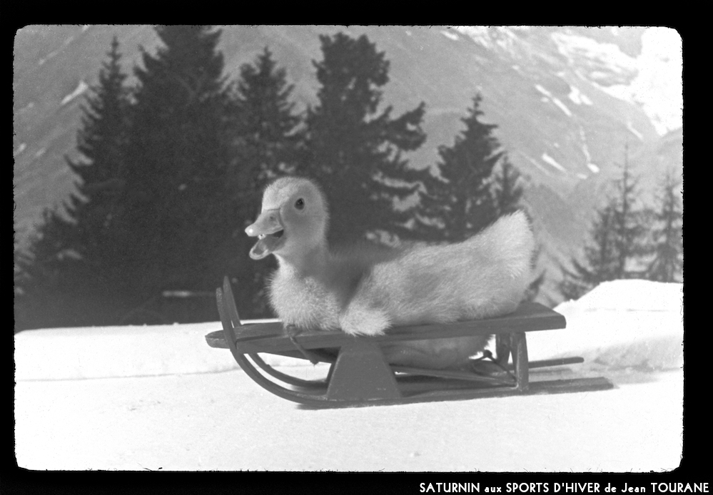 image: This is &lsquo;saturnin aux sports d&rsquo;hiver 9&rsquo;.