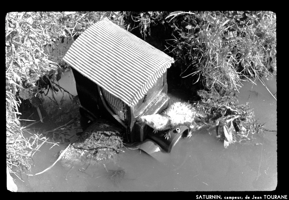 image: This is &lsquo;saturnin, campeur 11&rsquo;.