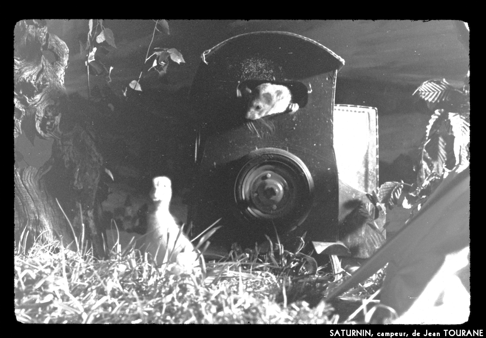image: This is &lsquo;saturnin, campeur 10&rsquo;.
