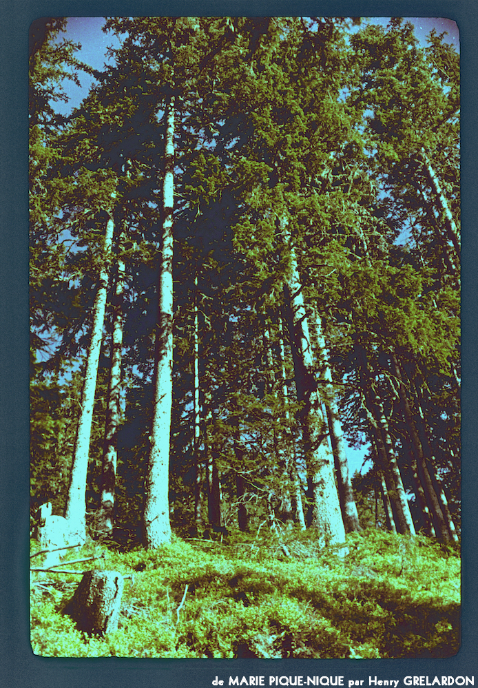 image: This is &lsquo;marie pique&ndash;nique 13&rsquo;.