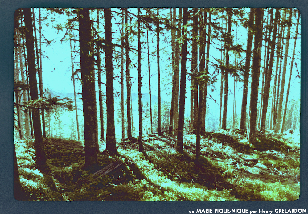 image: This is &lsquo;marie pique&ndash;nique 14&rsquo;.