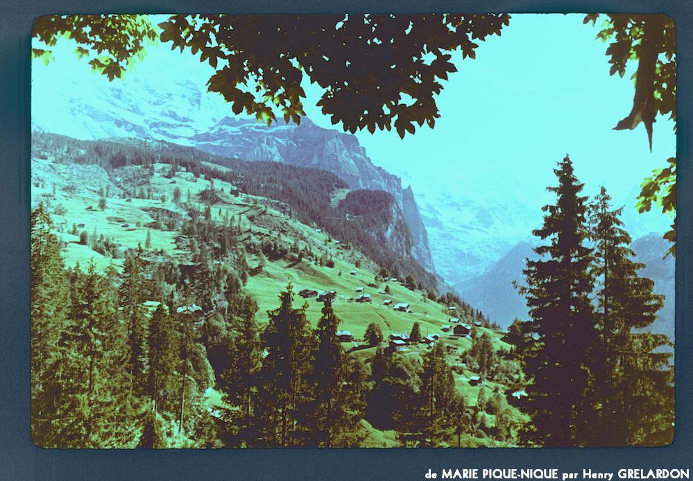 image: This is &lsquo;marie pique&ndash;nique 18&rsquo;.