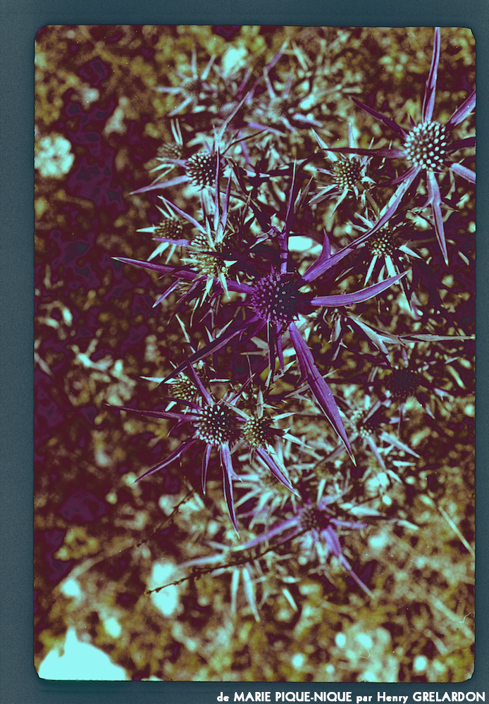 image: This is &lsquo;marie pique&ndash;nique 4&rsquo;.