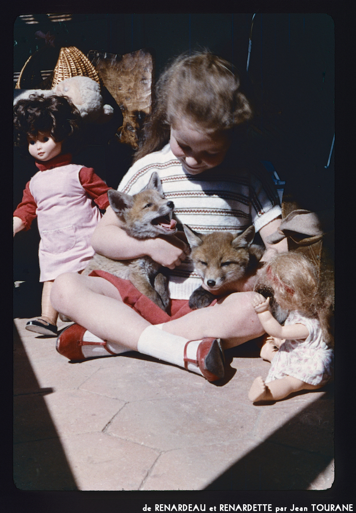 image: This is &lsquo;renardeau et renardette 10&rsquo;.