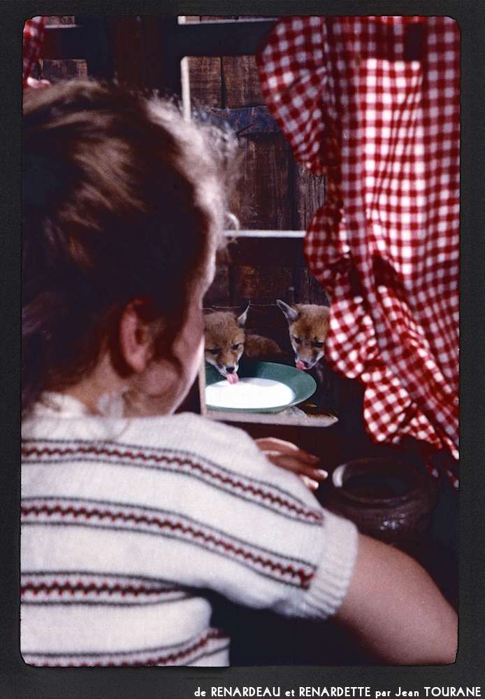 image: This is &lsquo;renardeau et renardette 8&rsquo;.