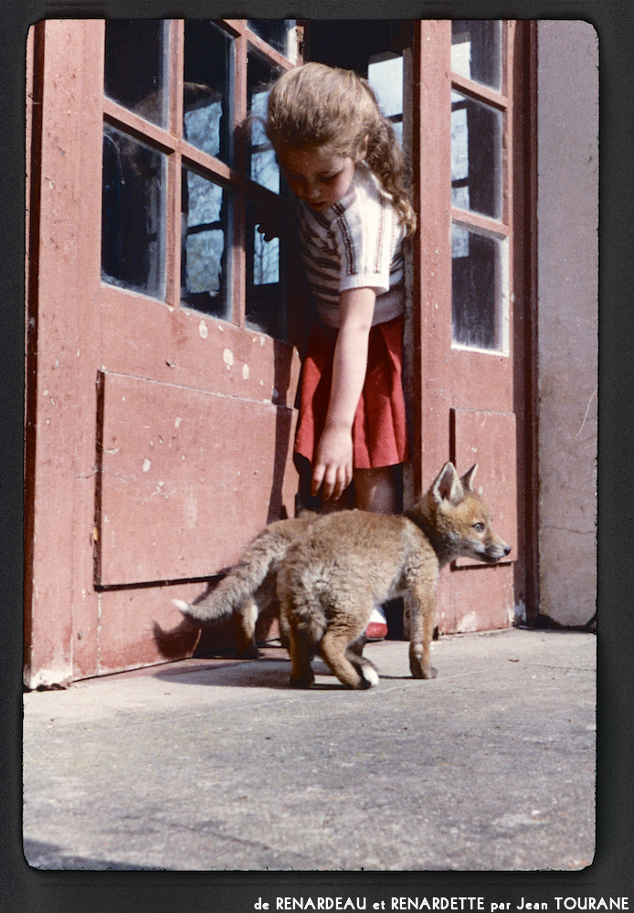 image: This is &lsquo;renardeau et renardette 9&rsquo;.