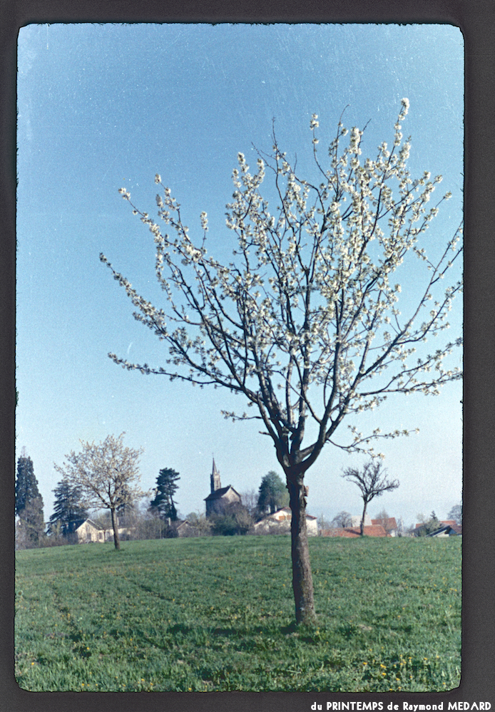 image: This is &lsquo;le printemps 1&rsquo;.