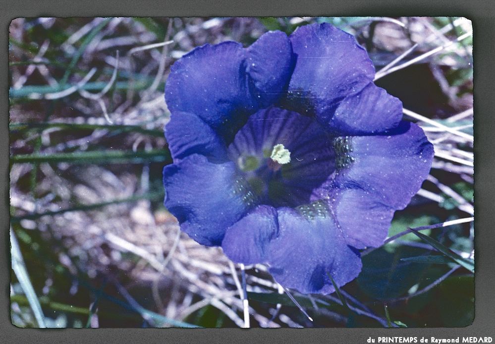 image: This is &lsquo;le printemps 18&rsquo;.