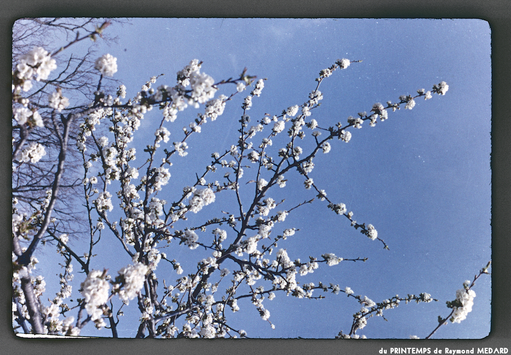 image: This is &lsquo;le printemps 4&rsquo;.