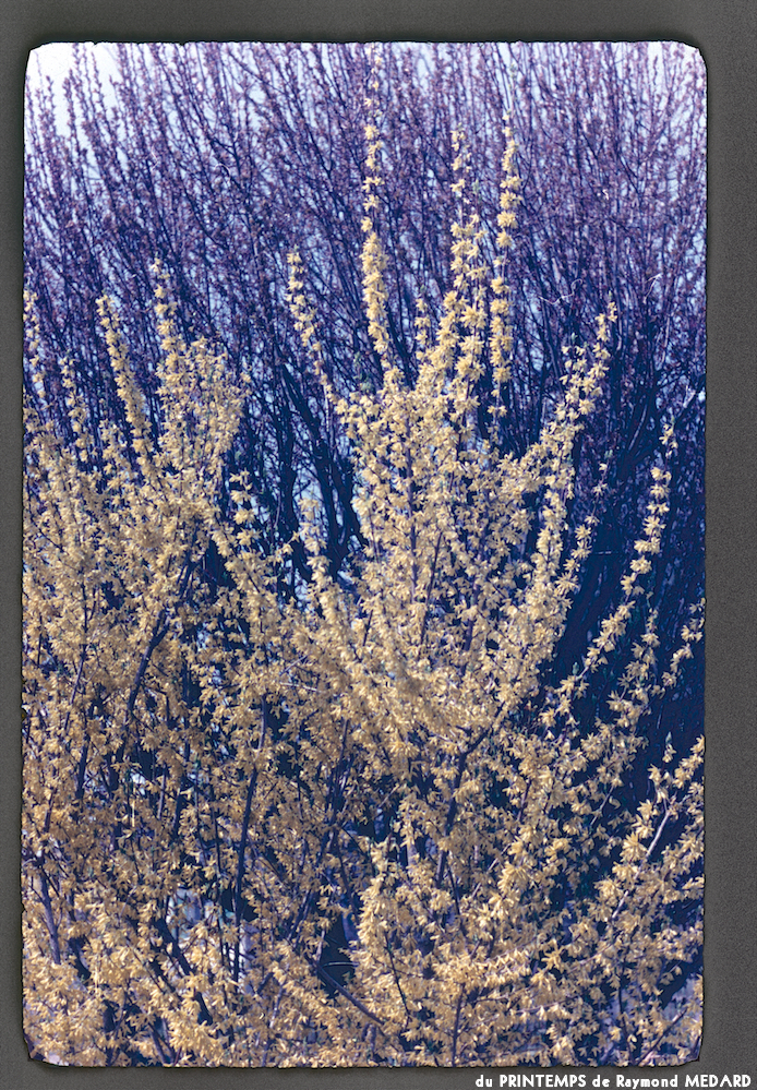 image: This is &lsquo;le printemps 6&rsquo;.