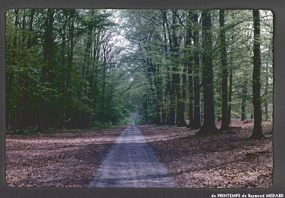 image: This is &lsquo;le printemps 9&rsquo;.