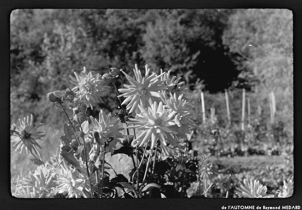 image: This is &lsquo;l&rsquo;automne 10&rsquo;.