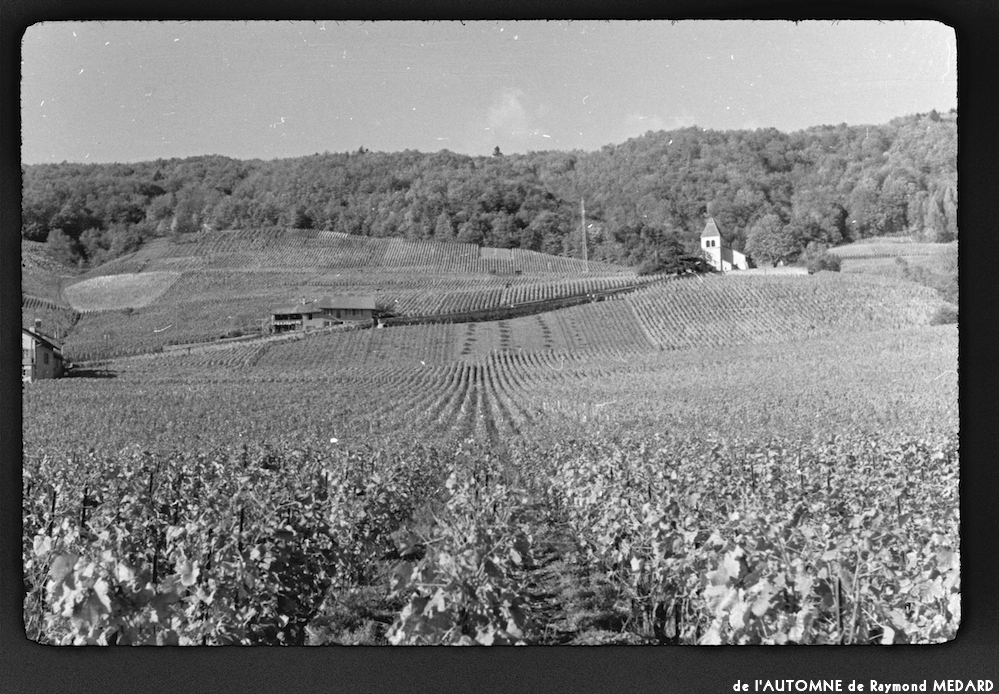 image: This is &lsquo;l&rsquo;automne 12&rsquo;.