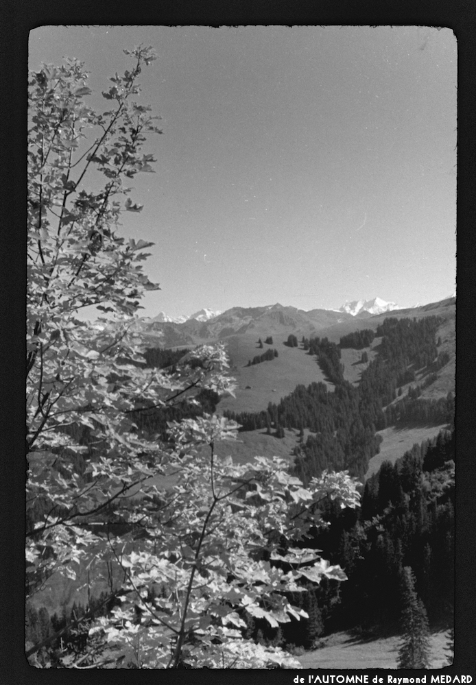 image: This is &lsquo;l&rsquo;automne 13&rsquo;.