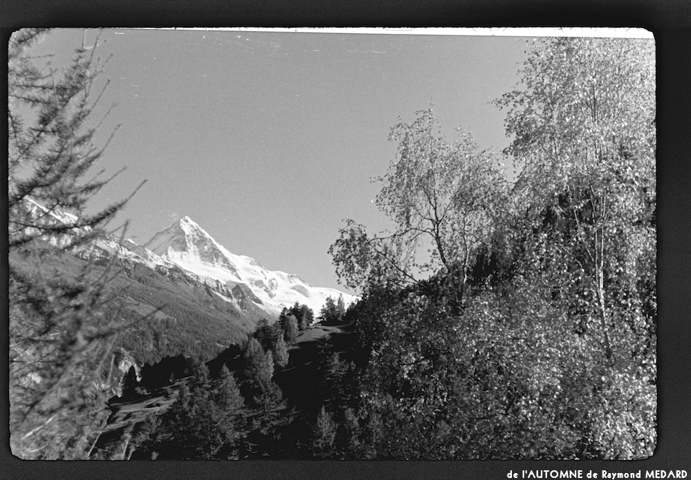 image: This is &lsquo;l&rsquo;automne 15&rsquo;.