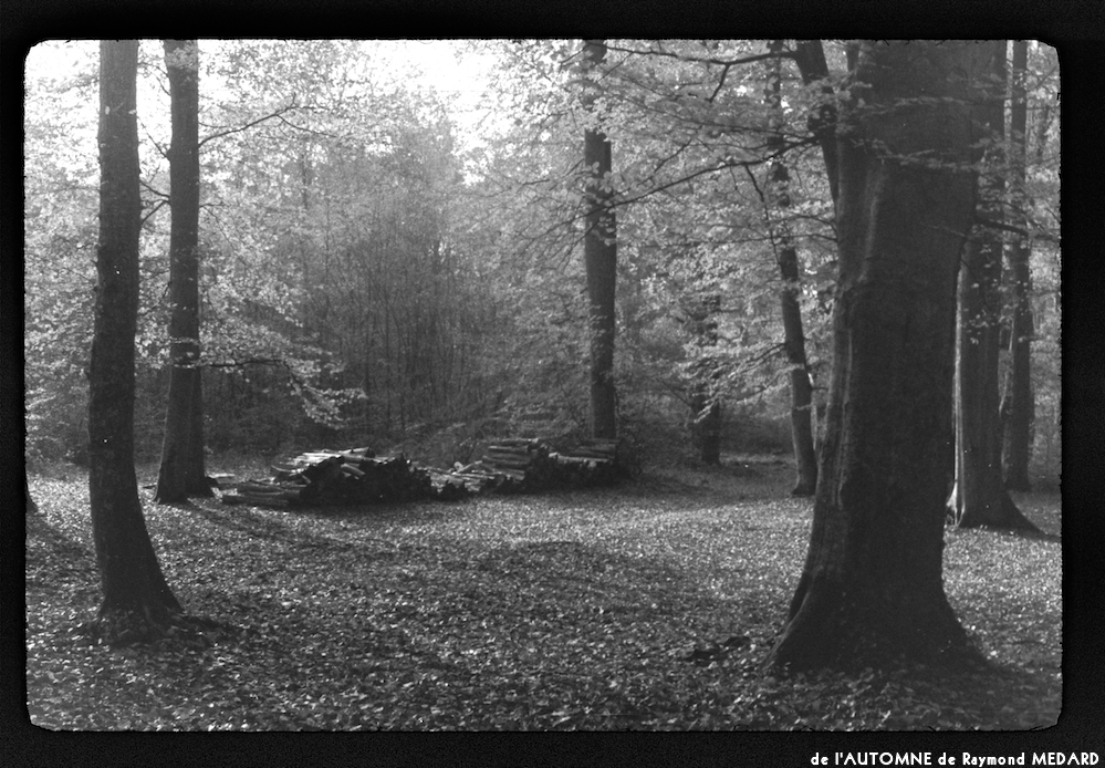 image: This is &lsquo;l&rsquo;automne 16&rsquo;.