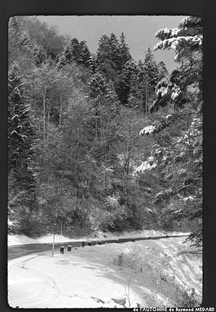 image: This is &lsquo;l&rsquo;automne 18&rsquo;.