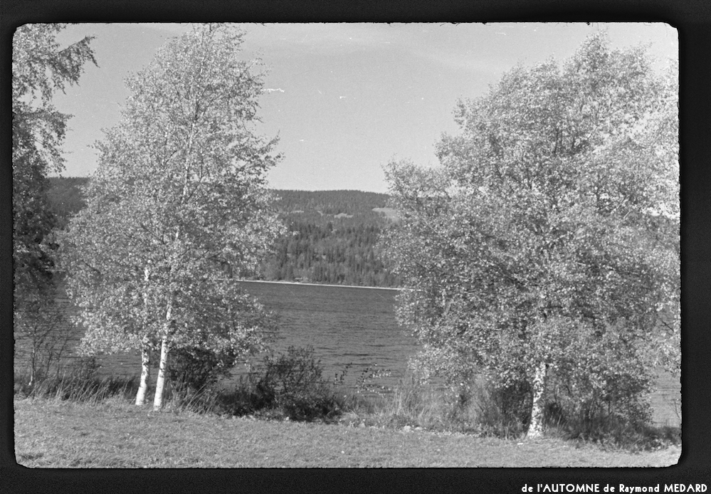 image: This is &lsquo;l&rsquo;automne 4&rsquo;.