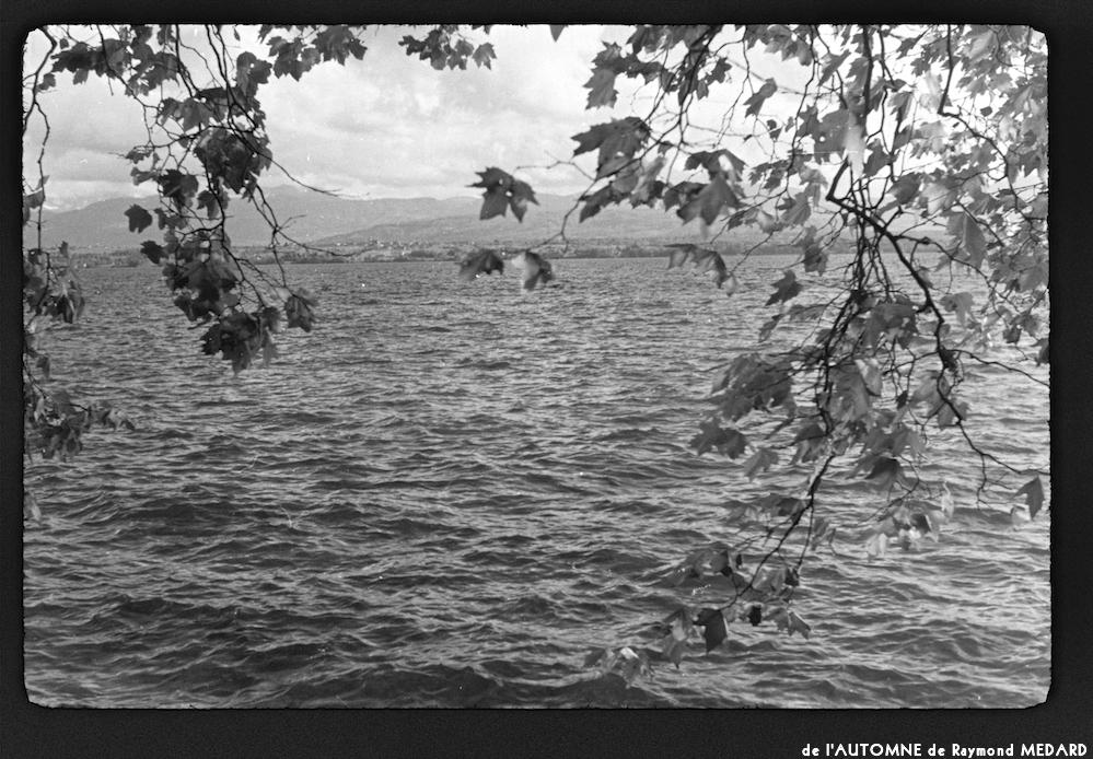 image: This is &lsquo;l&rsquo;automne 5&rsquo;.