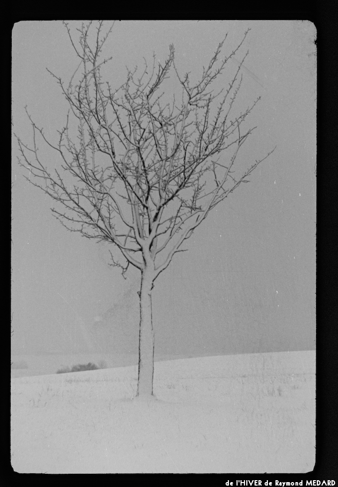 image: This is &lsquo;l&rsquo;hiver 11&rsquo;.