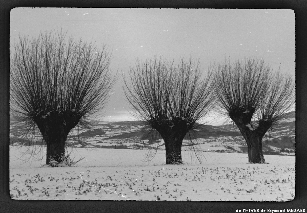 image: This is &lsquo;l&rsquo;hiver 12&rsquo;.