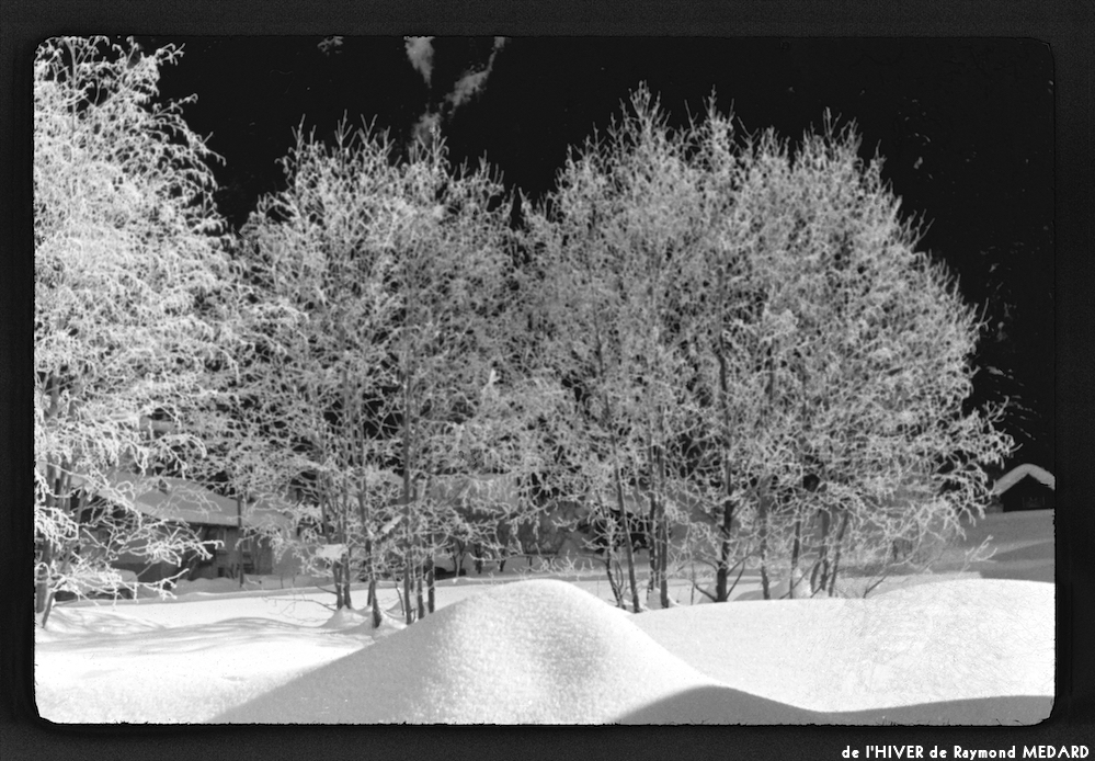 image: This is &lsquo;l&rsquo;hiver 13&rsquo;.