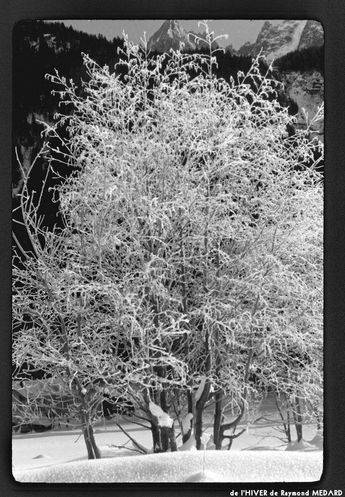 image: This is &lsquo;l&rsquo;hiver 14&rsquo;.