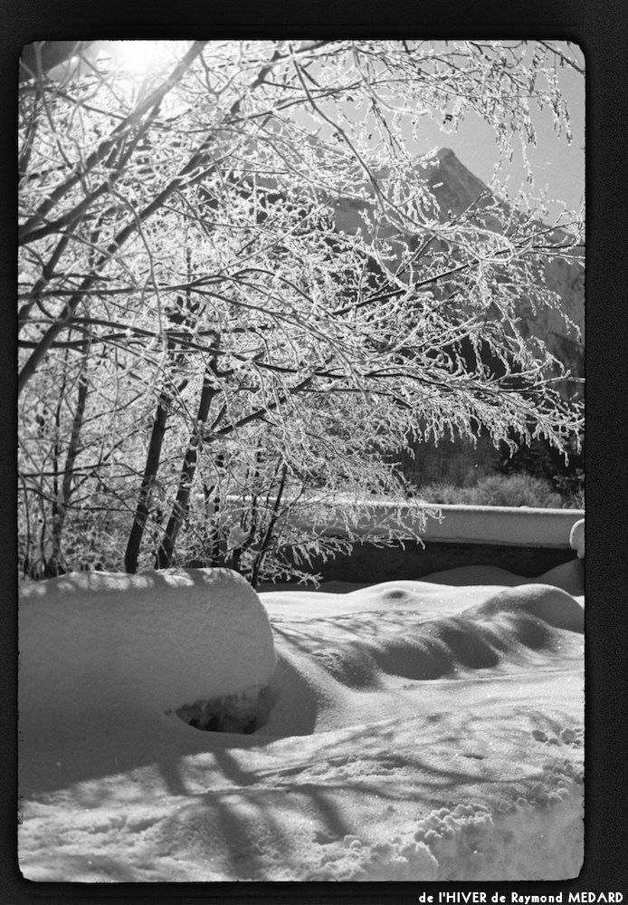 image: This is &lsquo;l&rsquo;hiver 15&rsquo;.