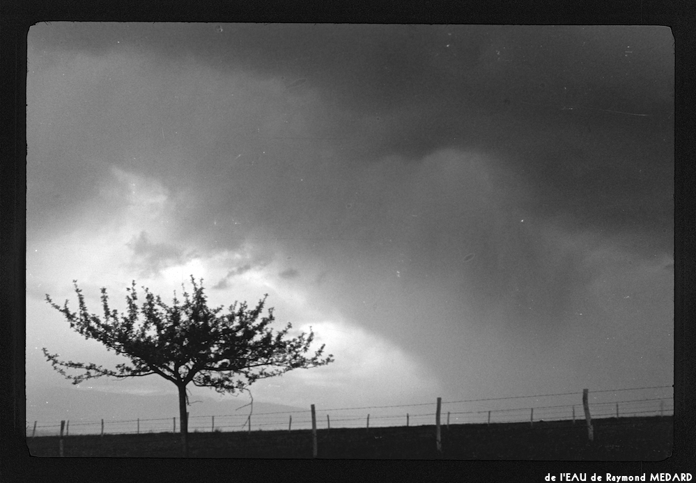 image: This is &lsquo;l&rsquo;eau 1&rsquo;.