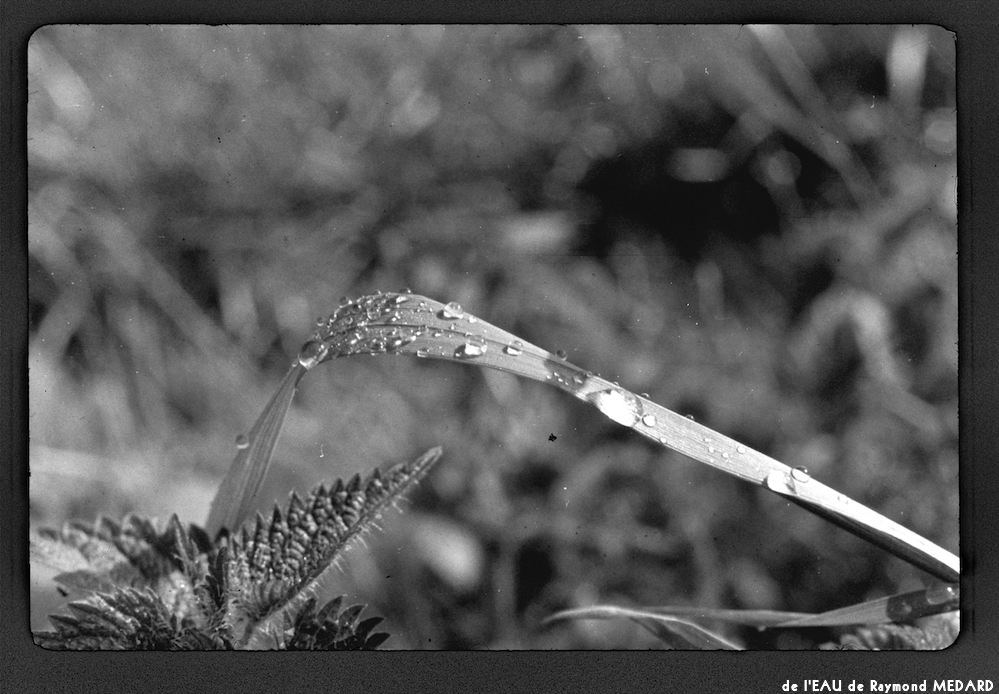 image: This is &lsquo;l&rsquo;eau 15&rsquo;.