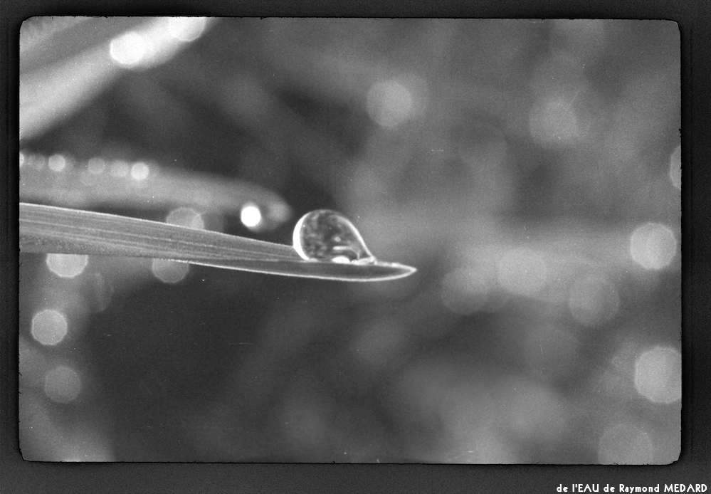 image: This is &lsquo;l&rsquo;eau 16&rsquo;.