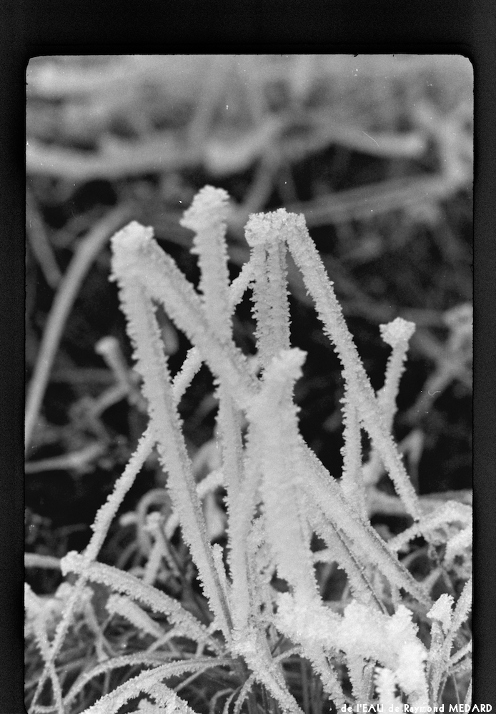 image: This is &lsquo;l&rsquo;eau 17&rsquo;.