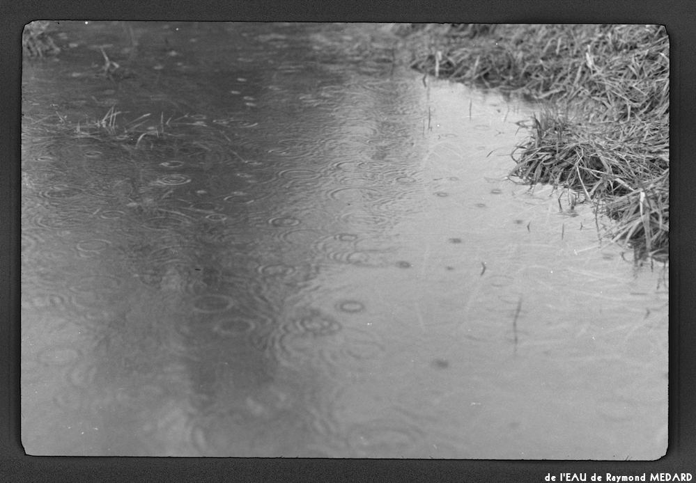 image: This is &lsquo;l&rsquo;eau 2&rsquo;.