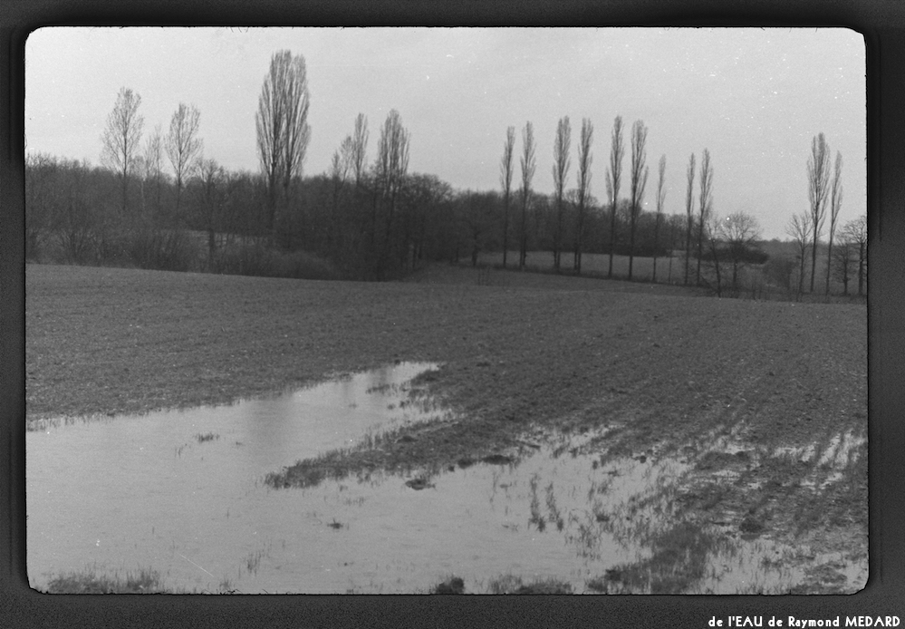 image: This is &lsquo;l&rsquo;eau 3&rsquo;.