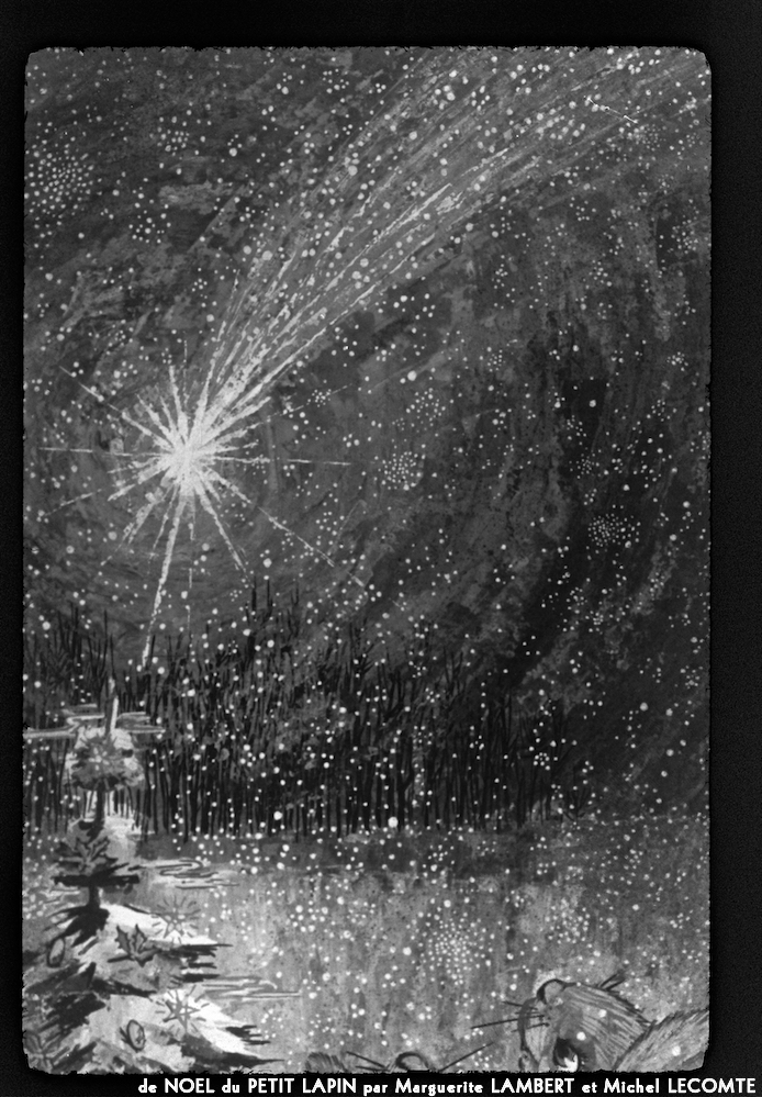 image: This is &lsquo;noel du petit sapin 11&rsquo;.