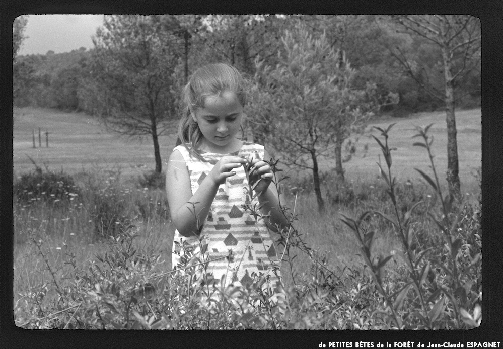 image: This is &lsquo;PETITES B&Ecirc;TES de la FOR&Ecirc;T 1&rsquo;.