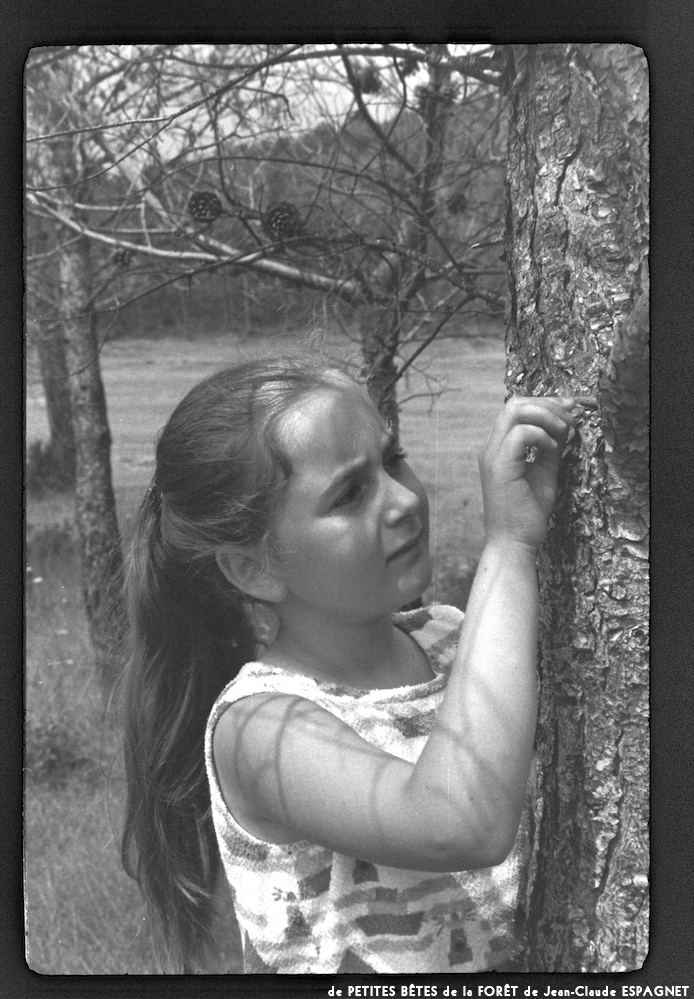 image: This is &lsquo;PETITES B&Ecirc;TES de la FOR&Ecirc;T 10&rsquo;.