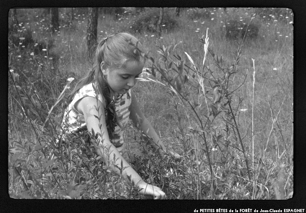 image: This is &lsquo;PETITES B&Ecirc;TES de la FOR&Ecirc;T 5&rsquo;.