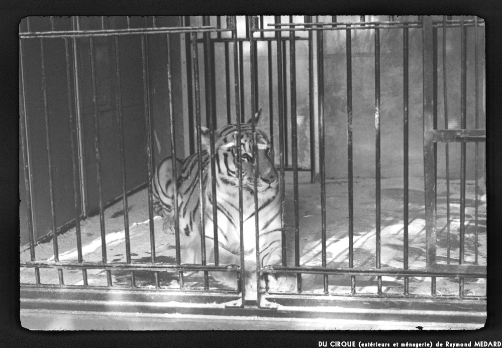 image: This is &lsquo;le cirque (ext&eacute;rieurs et m&eacute;nagerie) 10&rsquo;.