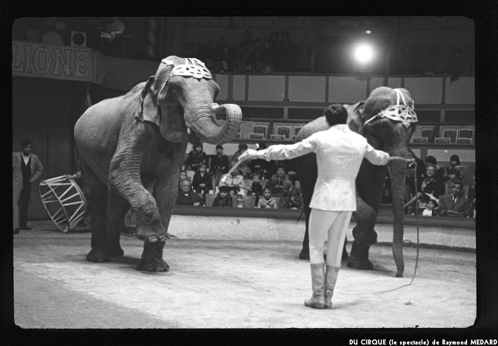 image: This is &lsquo;LE CIRQUE (le spectacle) 10&rsquo;.