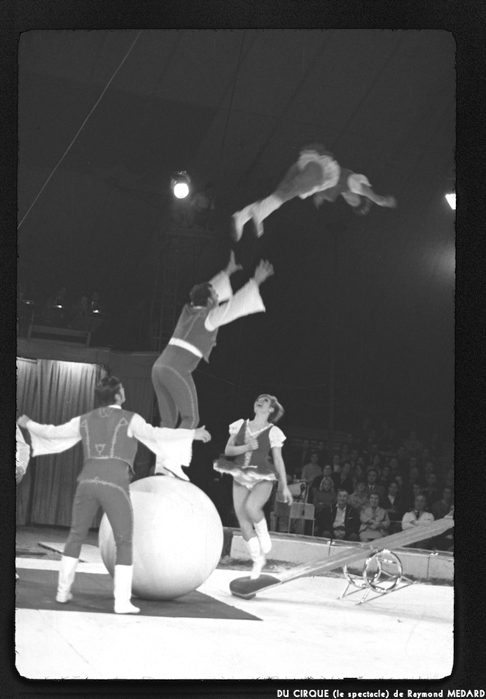 image: This is &lsquo;LE CIRQUE (le spectacle) 19&rsquo;.