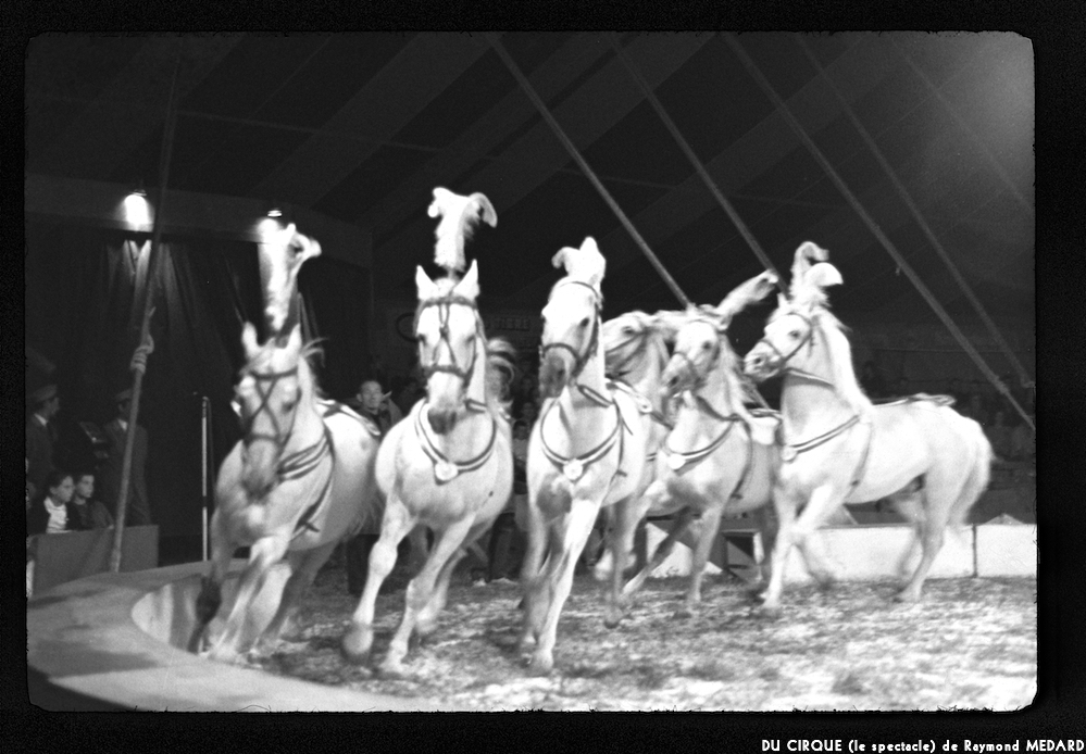 image: This is &lsquo;LE CIRQUE (le spectacle) 2&rsquo;.