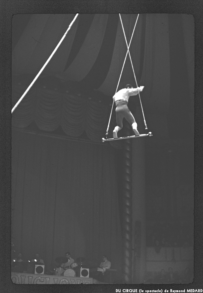 image: This is &lsquo;LE CIRQUE (le spectacle) 21&rsquo;.