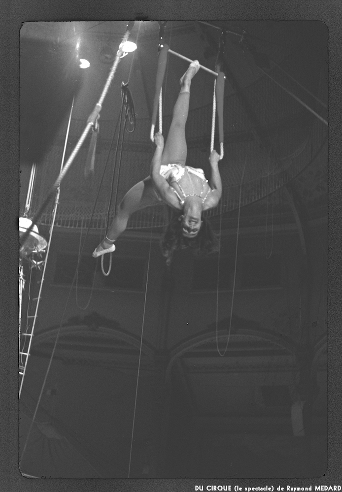 image: This is &lsquo;LE CIRQUE (le spectacle) 22&rsquo;.