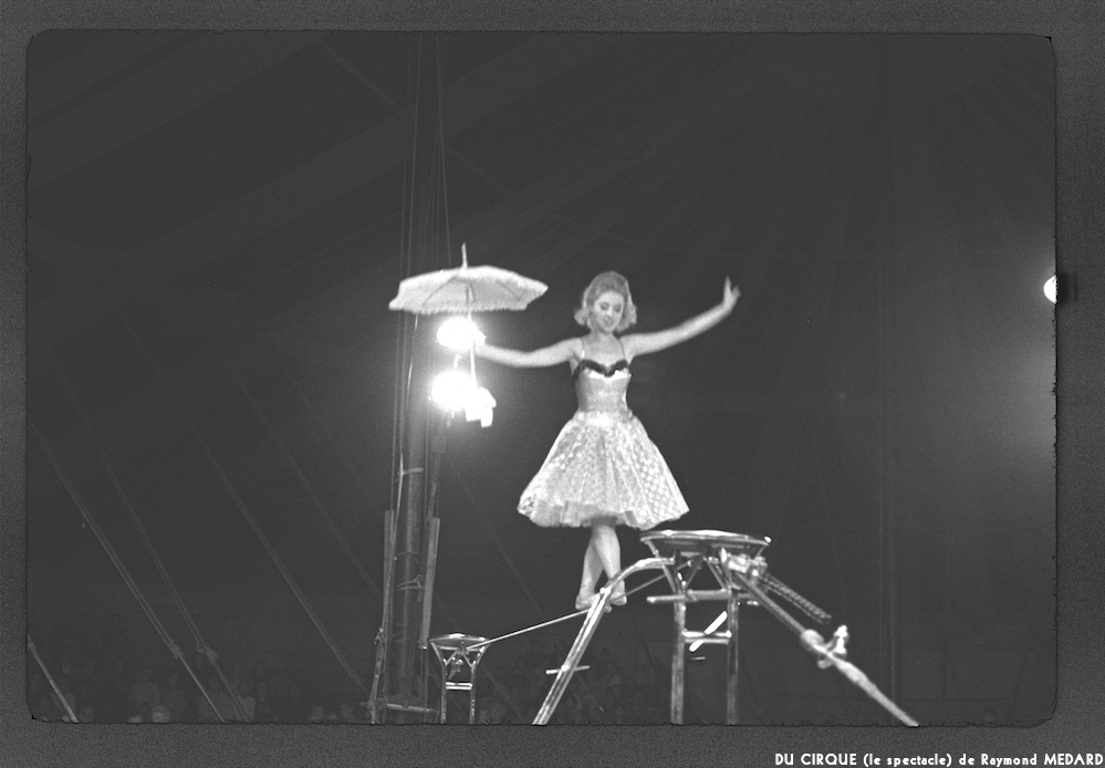 image: This is &lsquo;LE CIRQUE (le spectacle) 24&rsquo;.