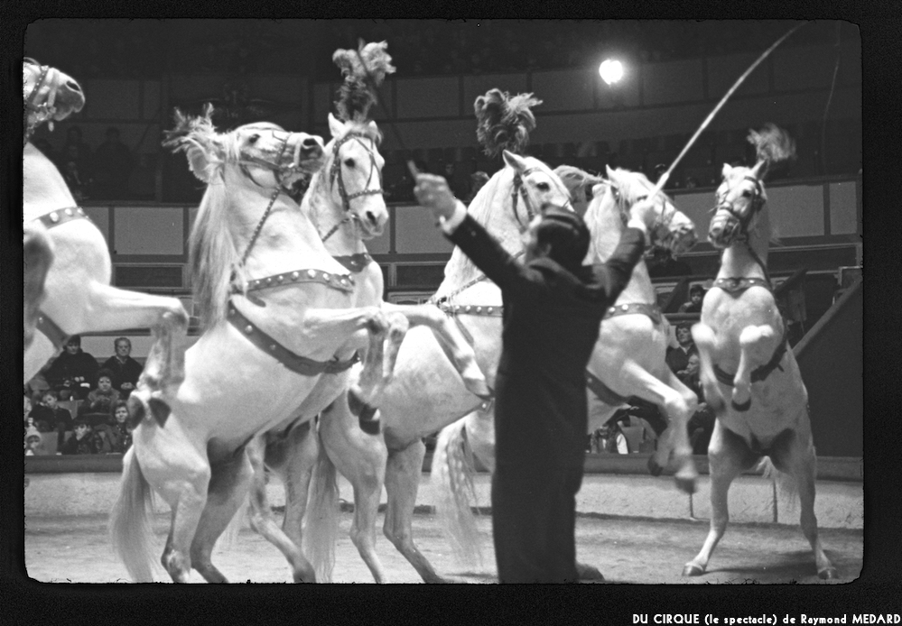 image: This is &lsquo;LE CIRQUE (le spectacle) 3&rsquo;.