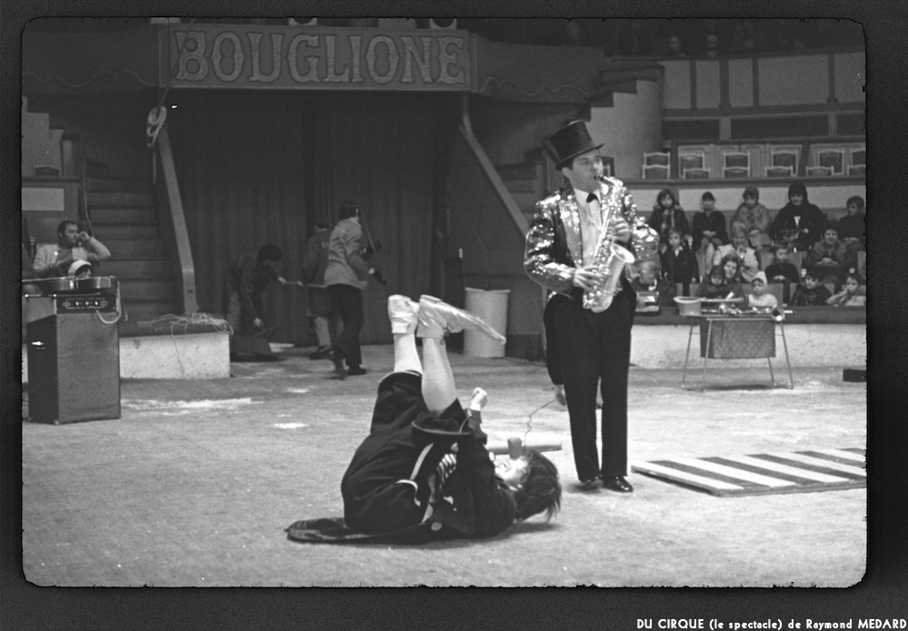 image: This is &lsquo;LE CIRQUE (le spectacle) 31&rsquo;.